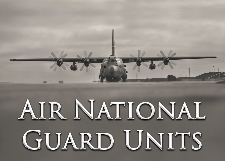 Illinois Air National Guard